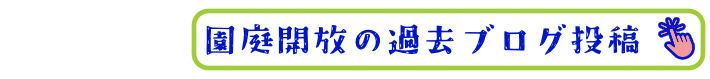 園庭開放