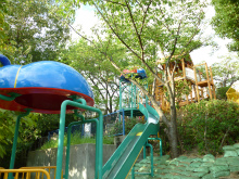 sP1000378